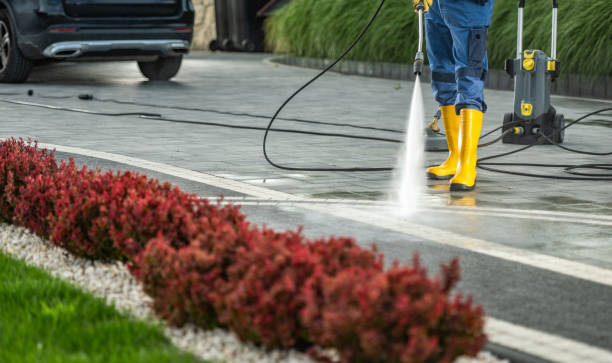 Best Fence Pressure Washing  in Hutchinson, MN
