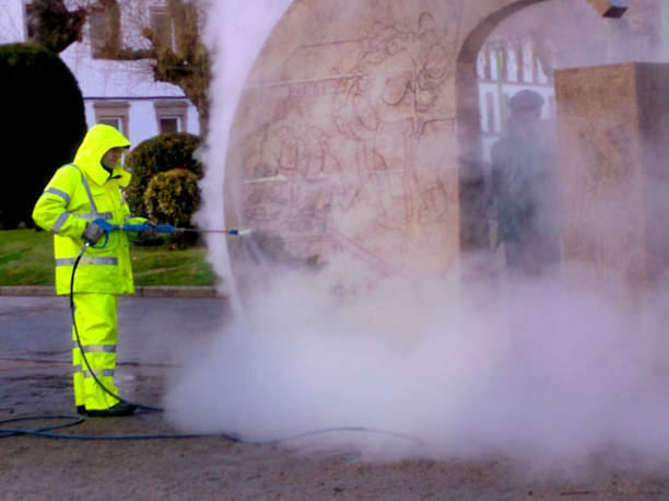 Best Sidewalk Pressure Washing  in Hutchinson, MN