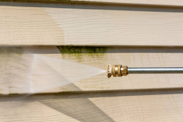 Best Roof Pressure Washing  in Hutchinson, MN