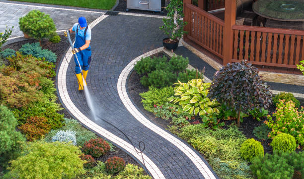 Best Commercial Pressure Washing  in Hutchinson, MN